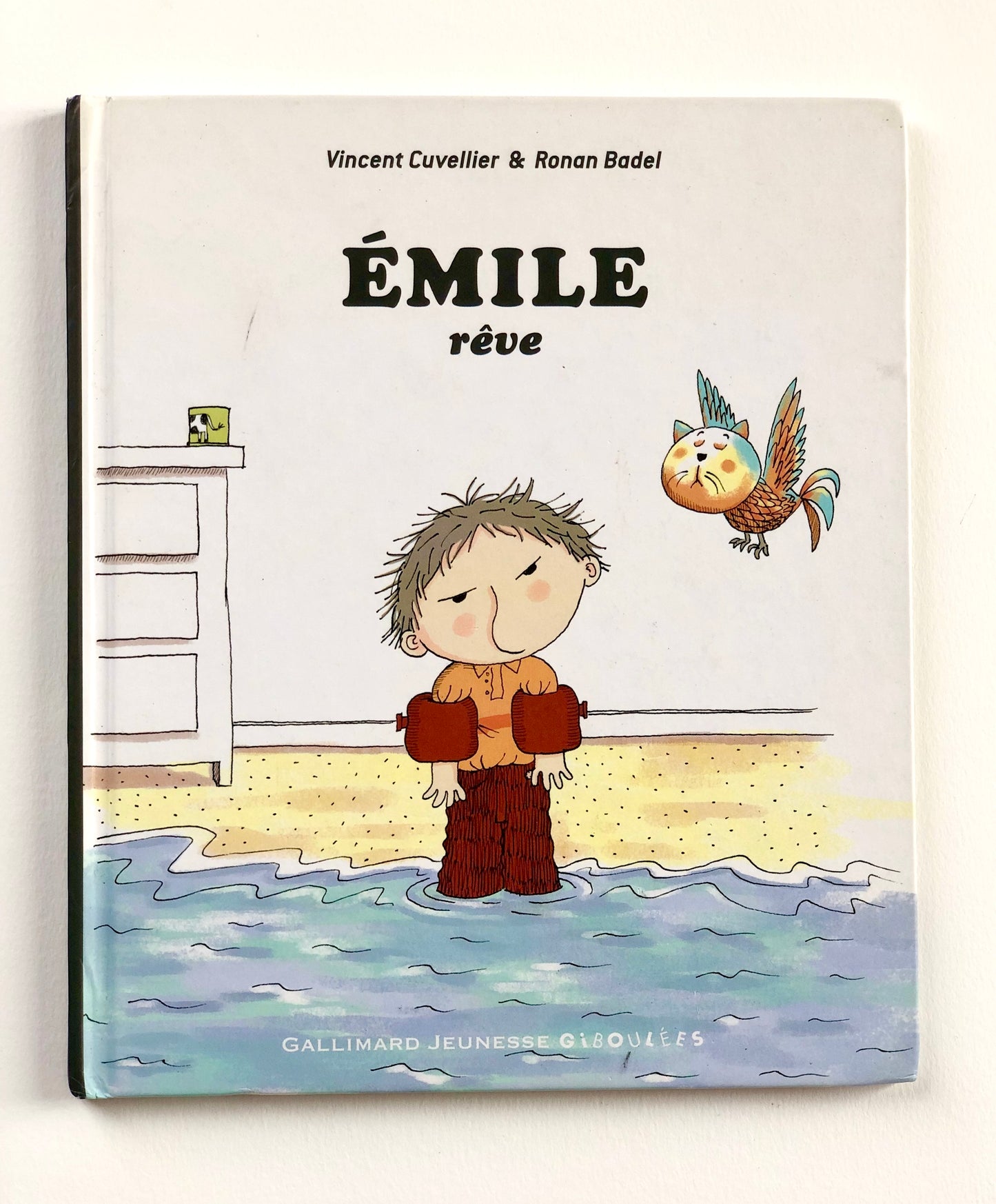 Livre « Émile rêve »