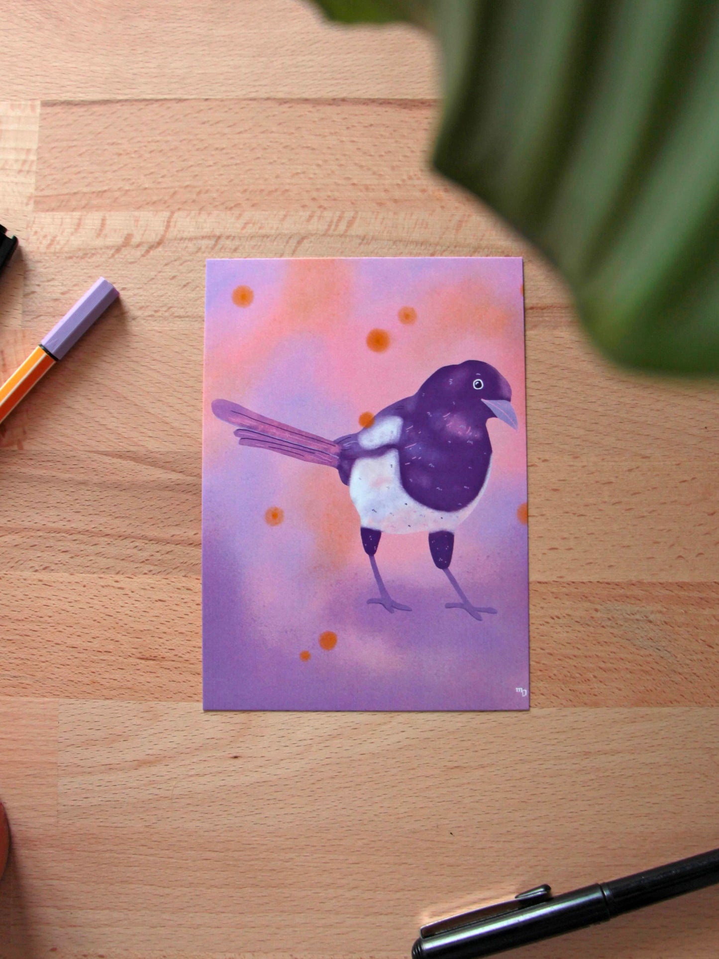 Illustration « Pie » - « Oiseaux des jardins »