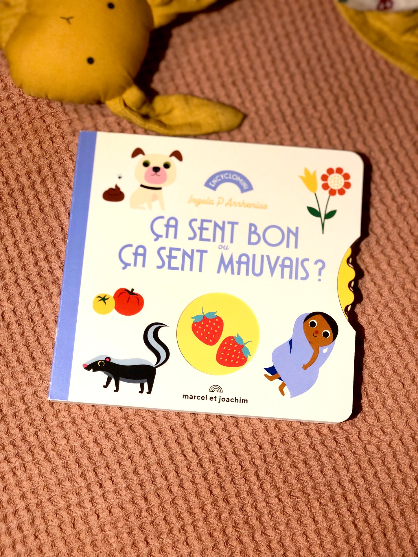 Livre « Ça sent bon ou ça sent mauvais? »