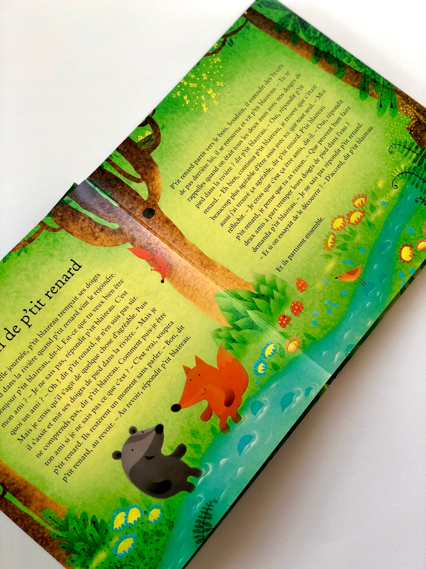 Livre « Dors bien bébé »