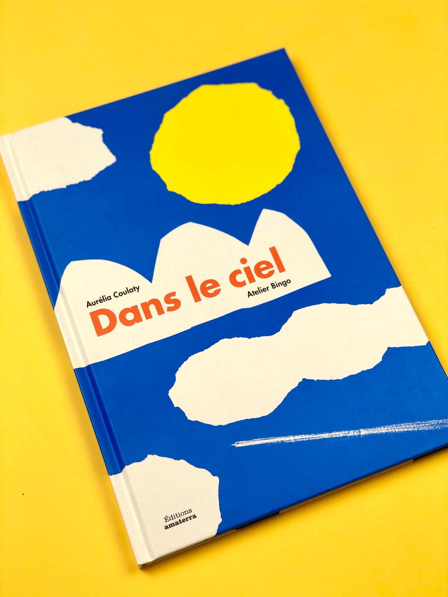 Livre « Dans le ciel »