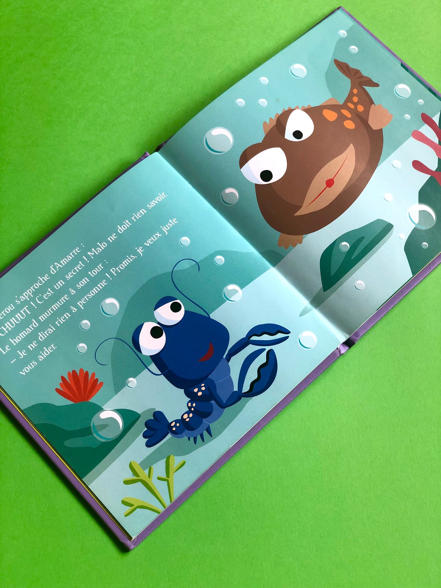 Livre « Le homard très bavard »