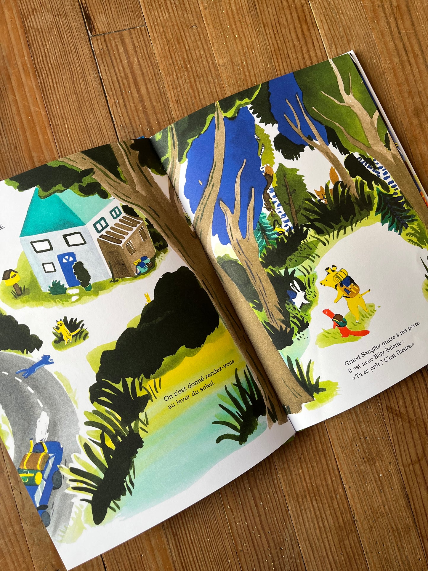 Livre « Camping sauvage »