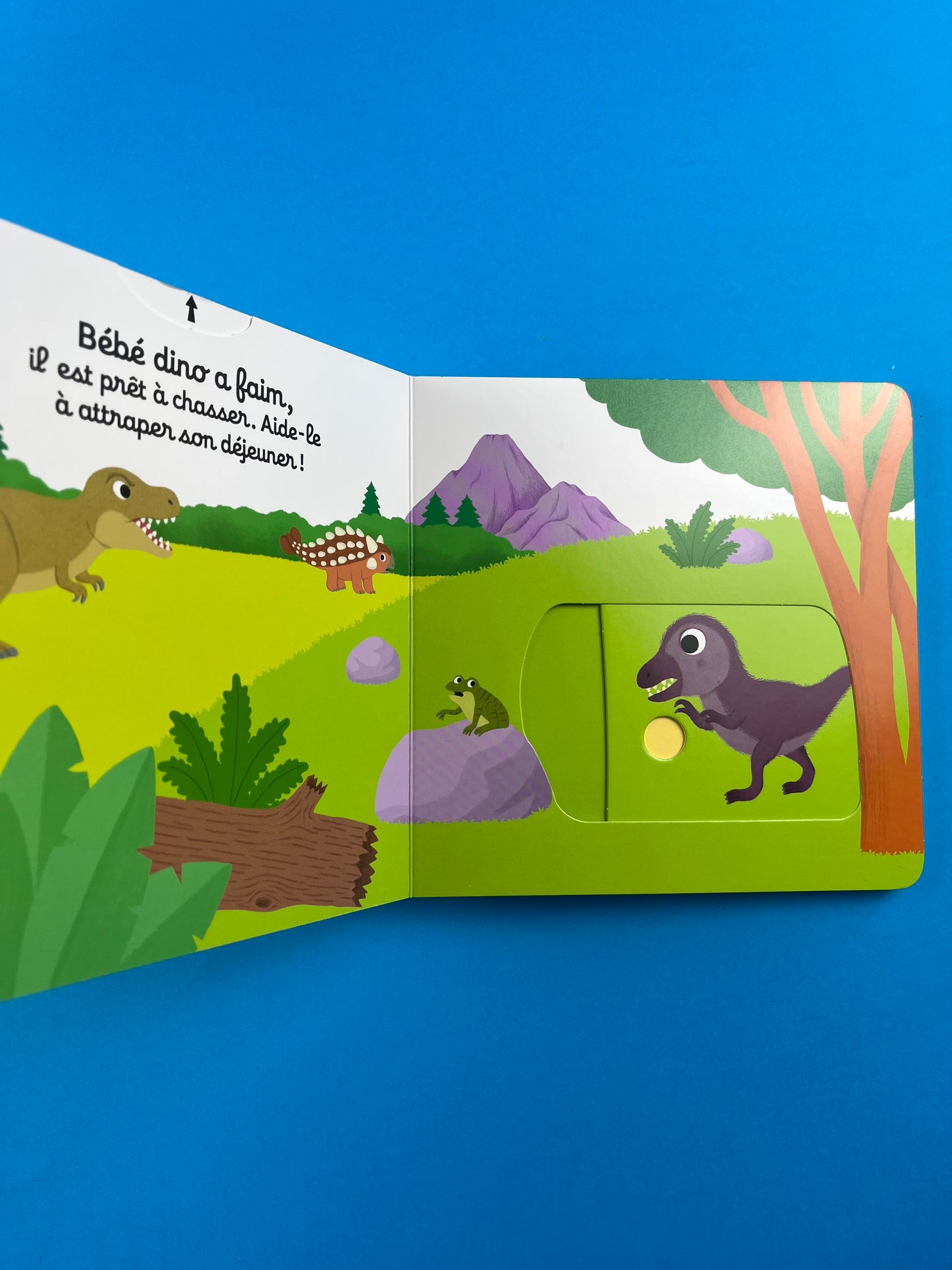 Livre « Tu es fort petit dinosaure! »