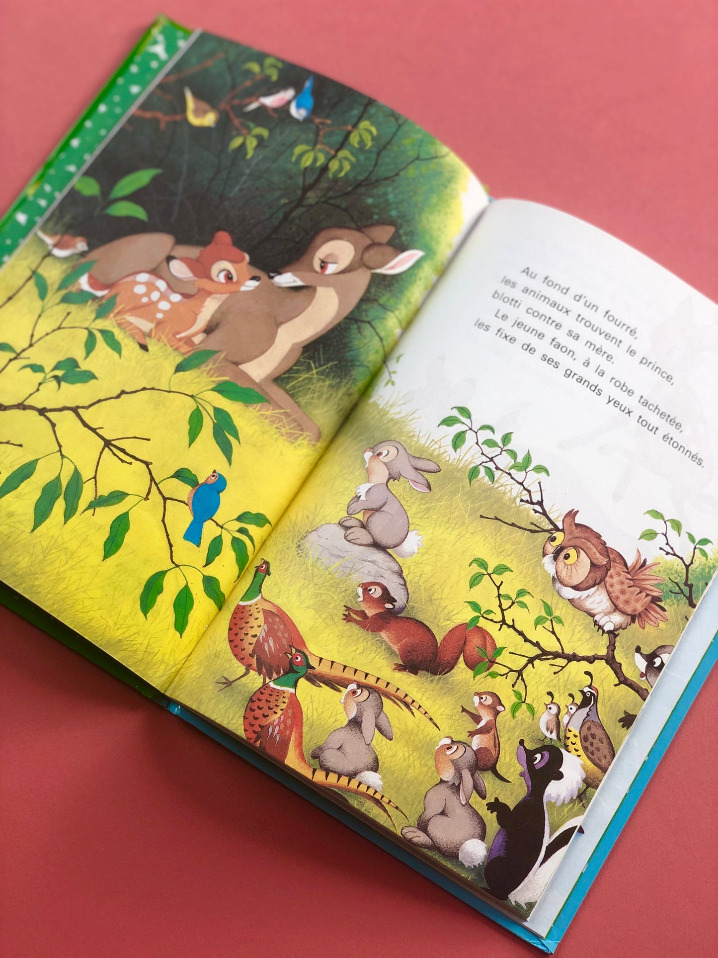Livre « Bambi »