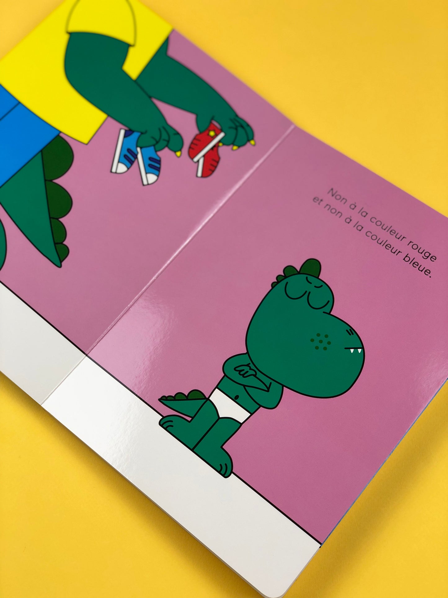 Livre « Dina dit non »