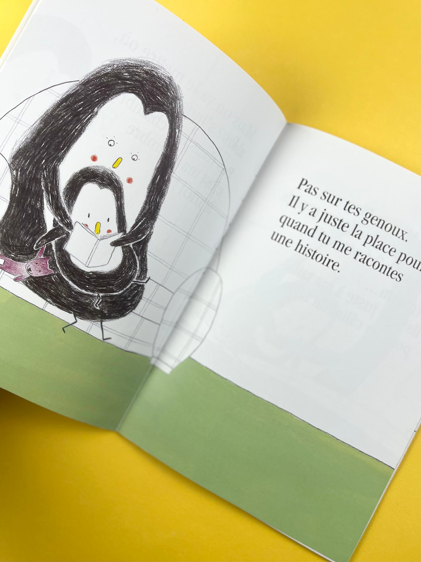 Livre « Dans les bras »