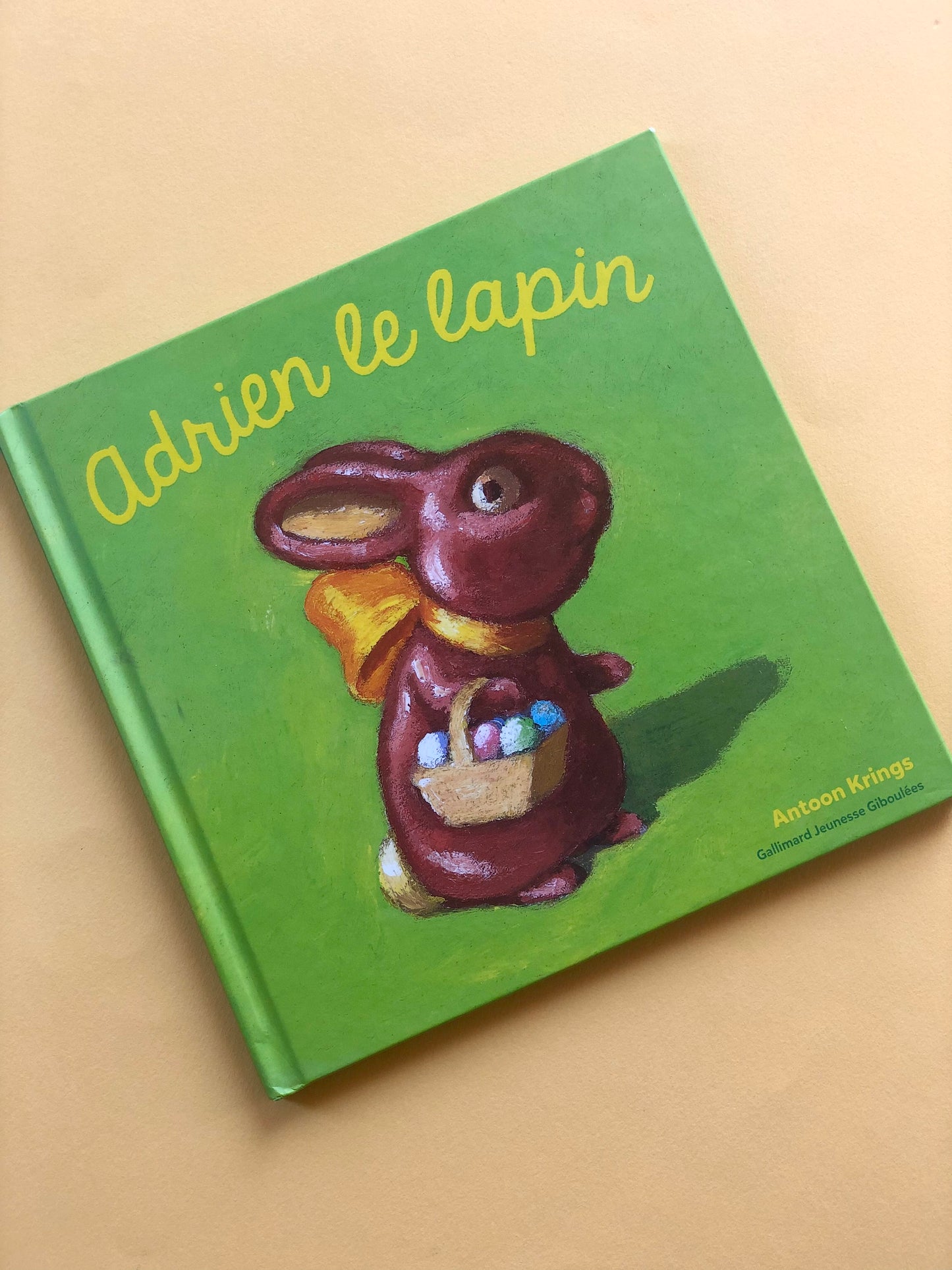 Livre « Adrien le lapin »