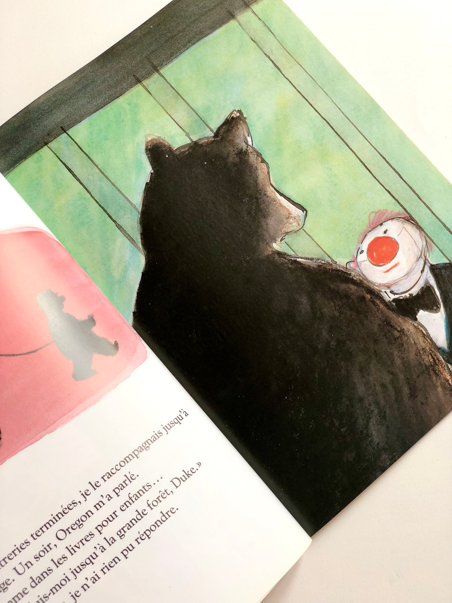 Grand livre « Le Voyage d’Oregon »