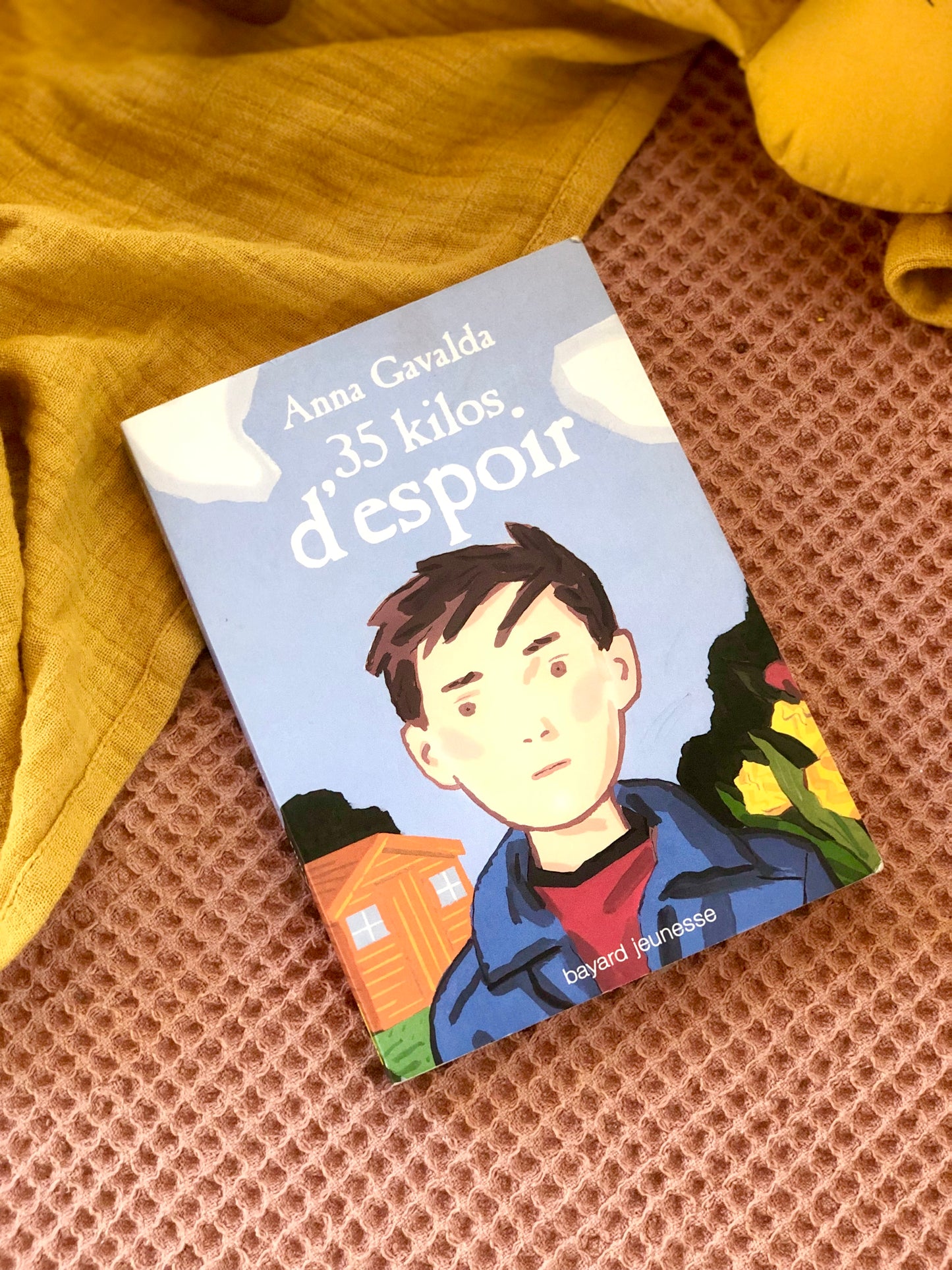 Livre « 35 kilos d’espoir » Anna Gavalda