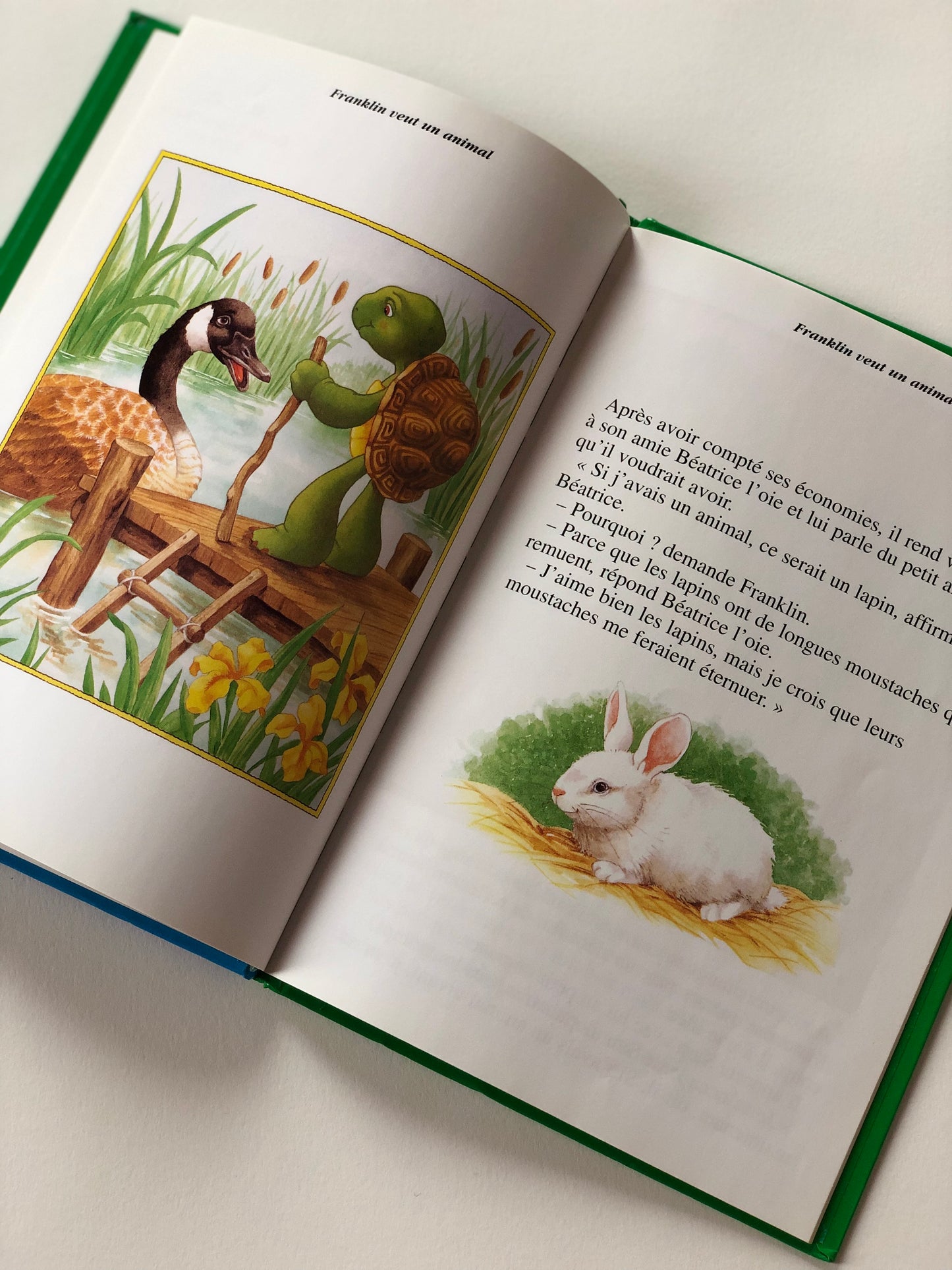 Livre « Franklin veut un animal »