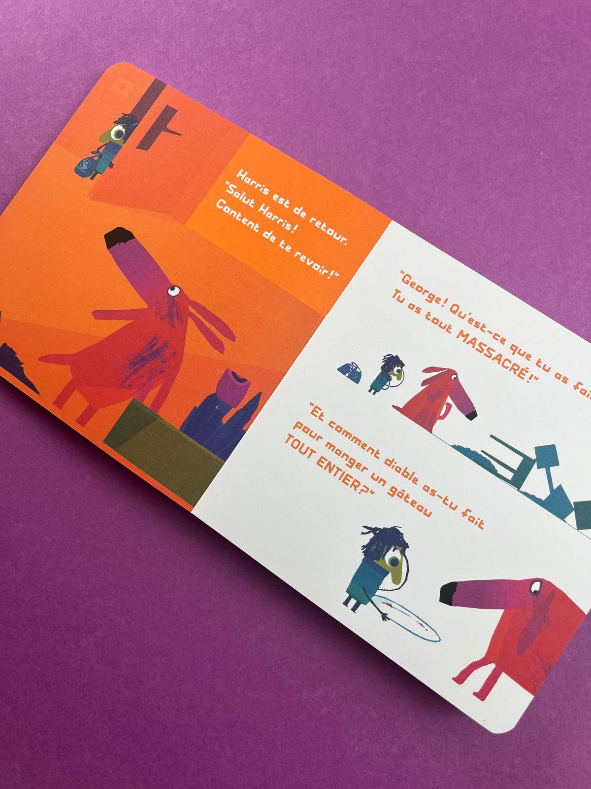 Livre « Oh non, Georges! »
