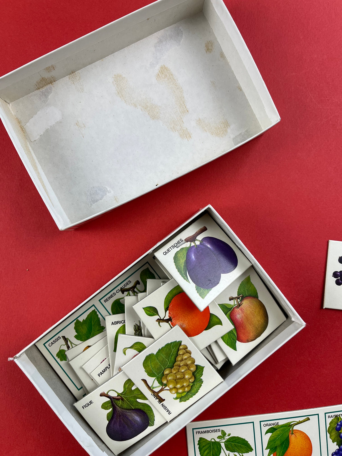 Loto « Fruits des 4 saisons » Nathan