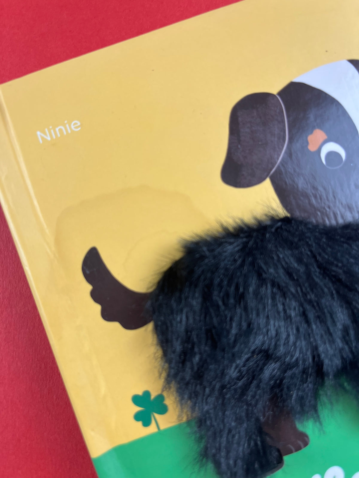 Livre « Le chien »