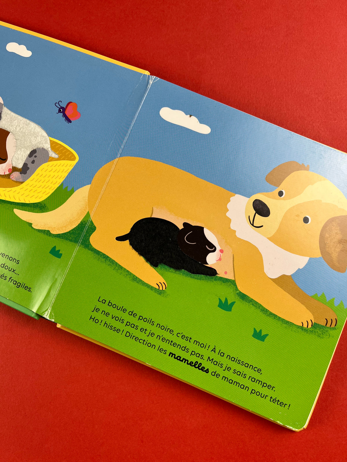 Livre « Le chien »