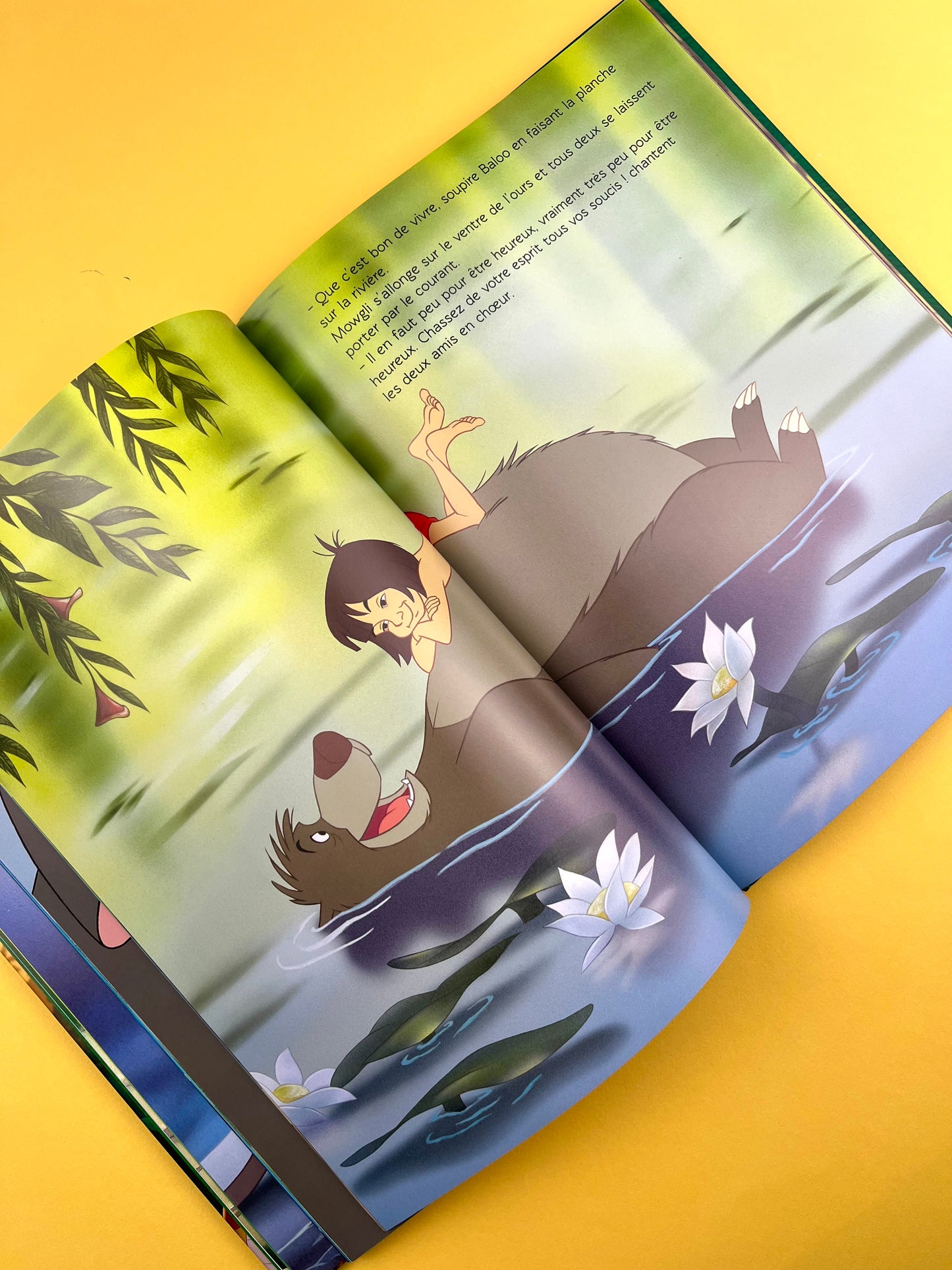 Livre « Le livre de la jungle » Disney
