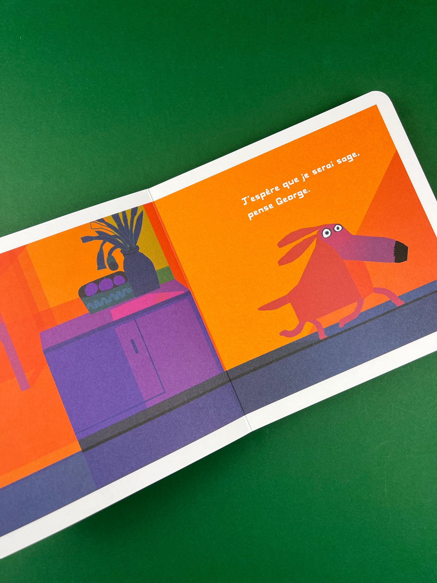 Livre « Oh non, George! »