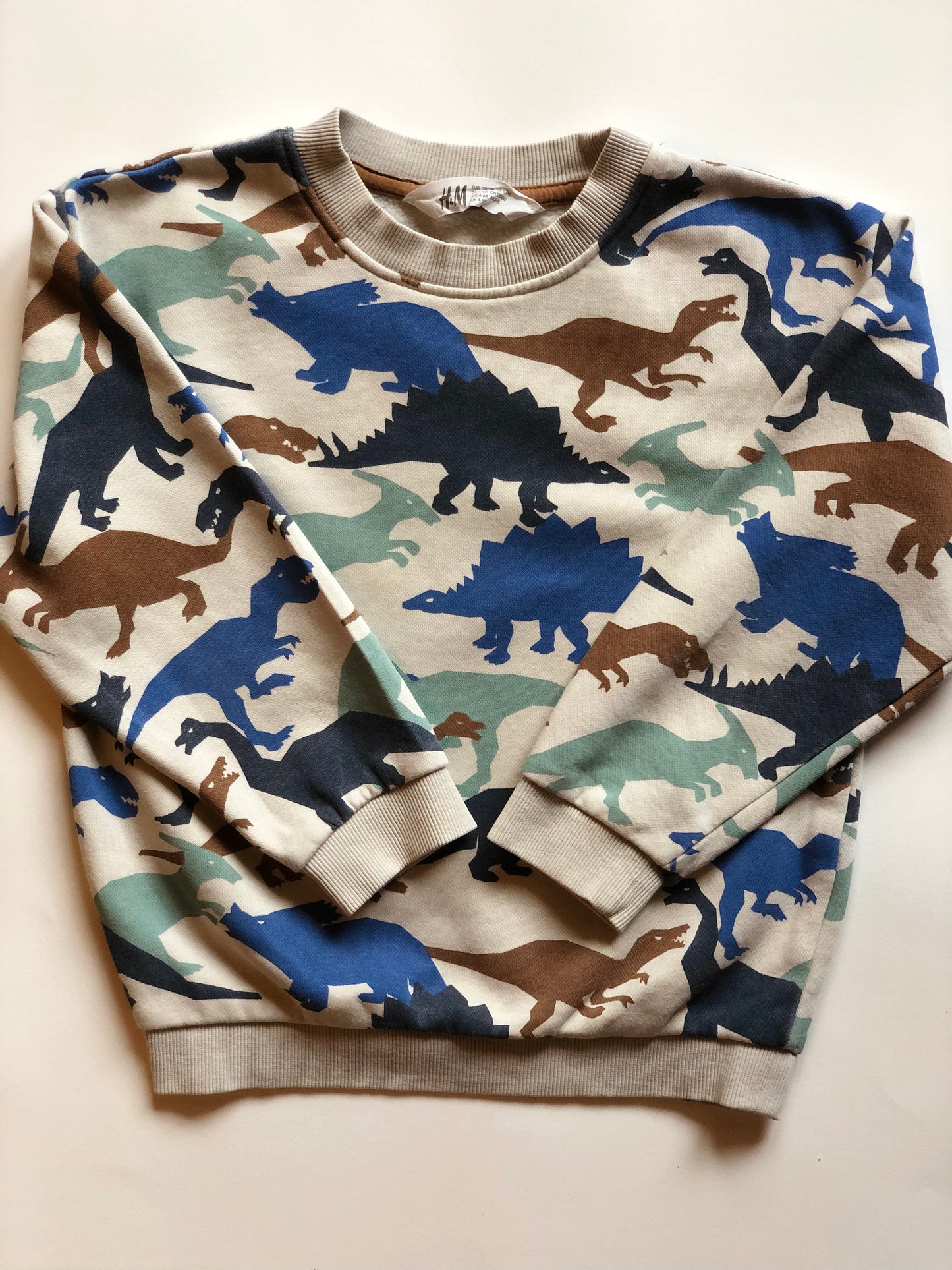 Sweat-shirt dinosaures H&M 5 ans