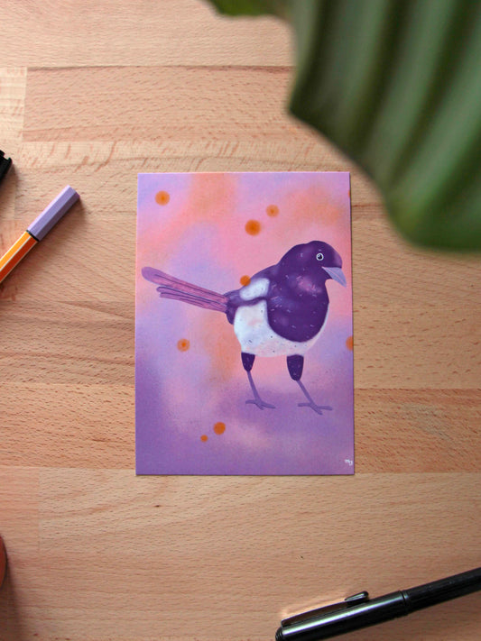 Illustration « Pie » - « Oiseaux des jardins »