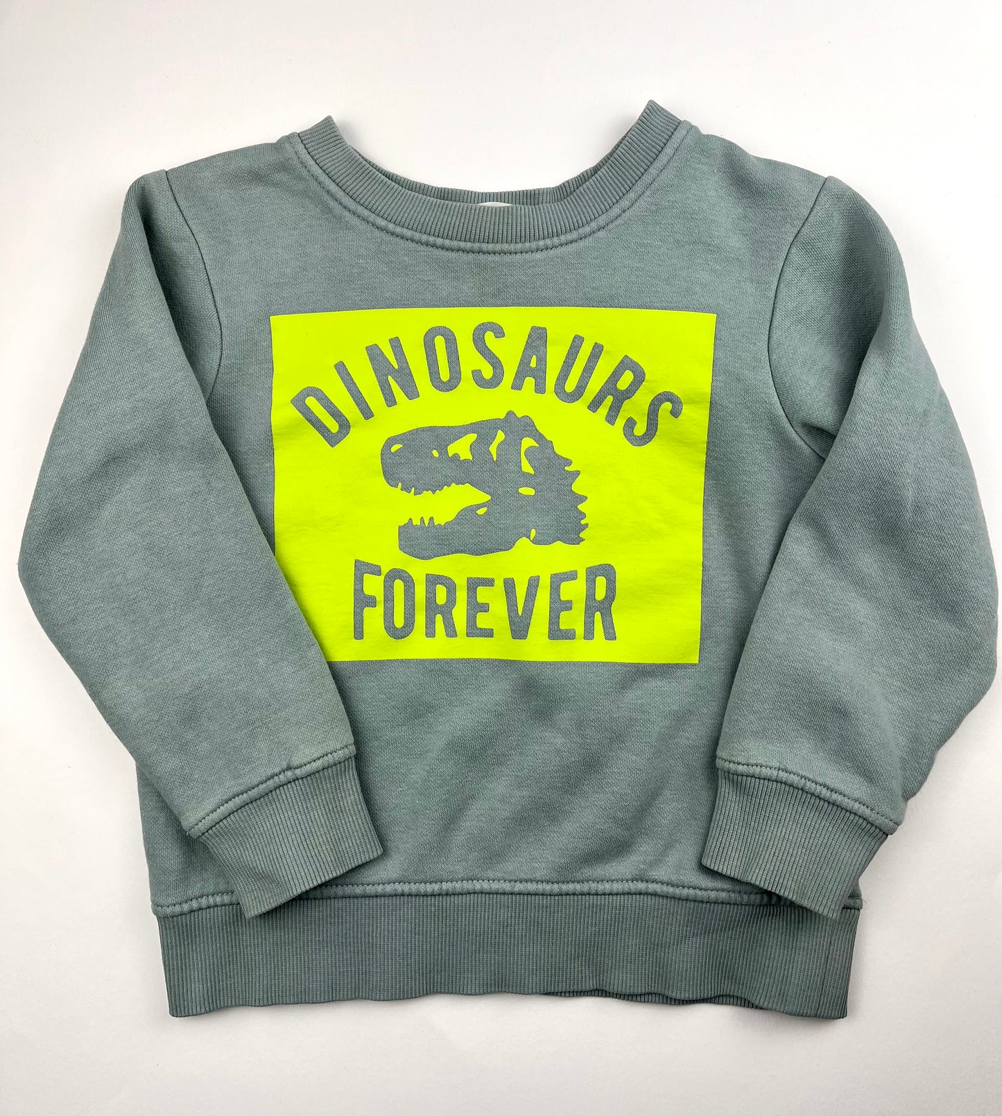 Sweat dinosaures bleu et vert H&M 3 ans