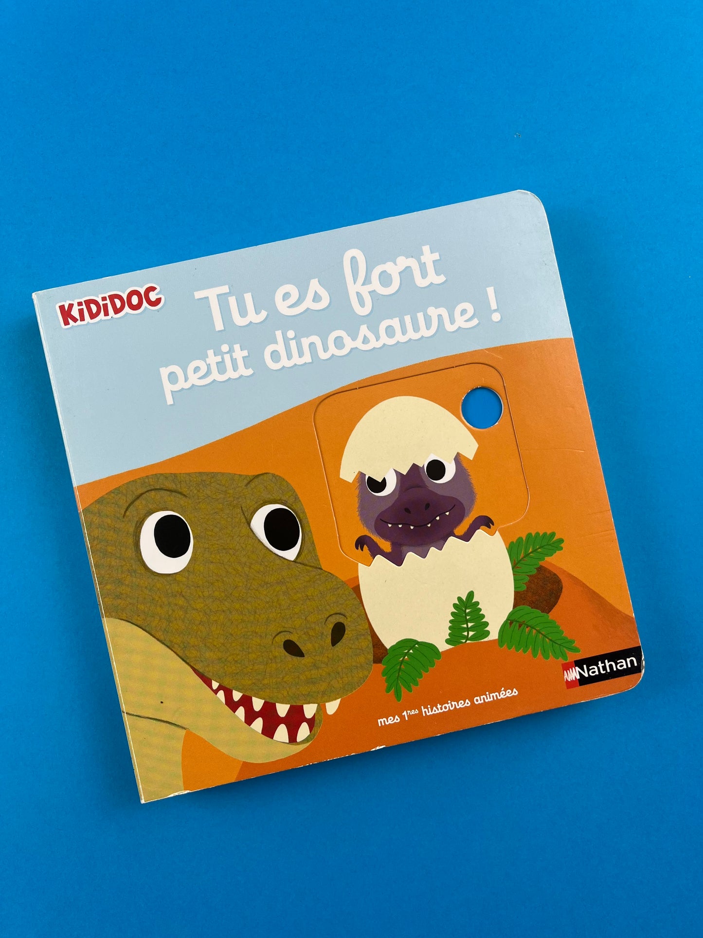 Livre « Tu es fort petit dinosaure! »