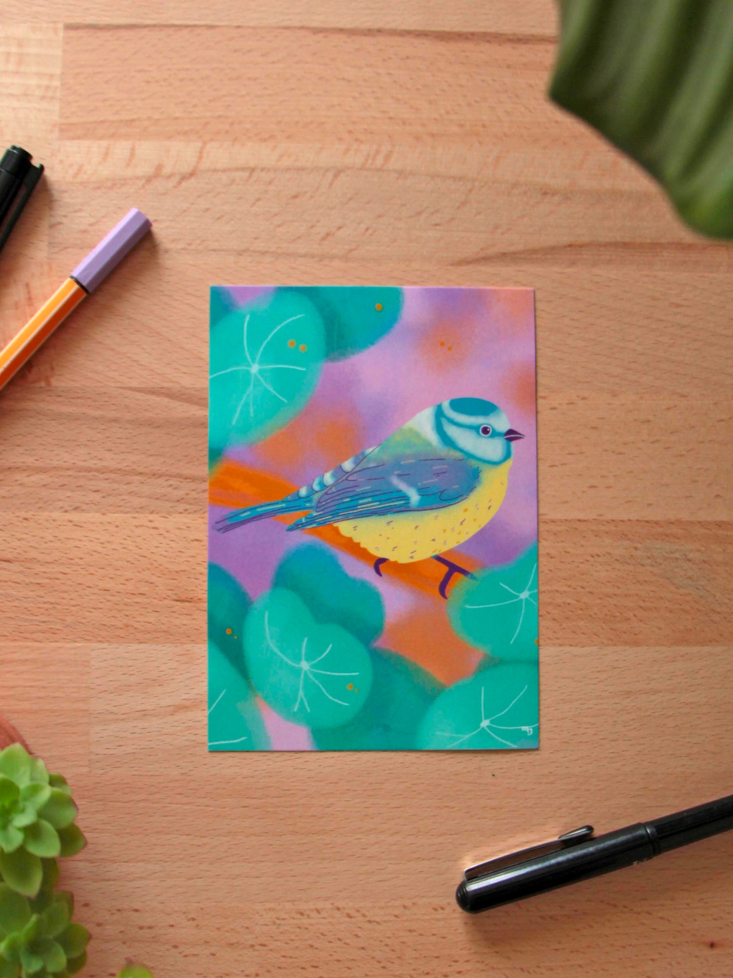 Illustration « Mésange bleue » - « Oiseaux des jardins »
