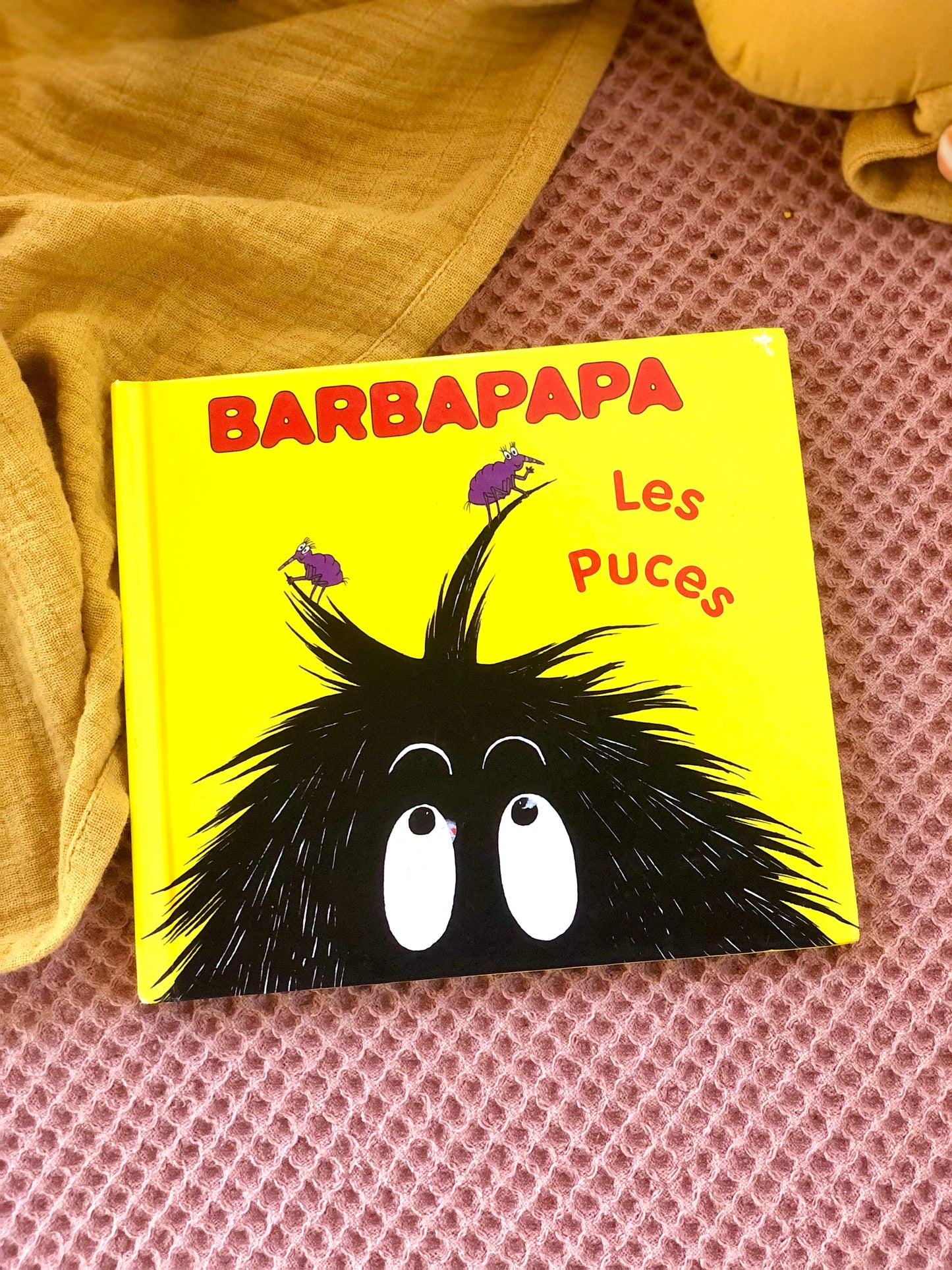 Livre Barbapapa « Les puces »