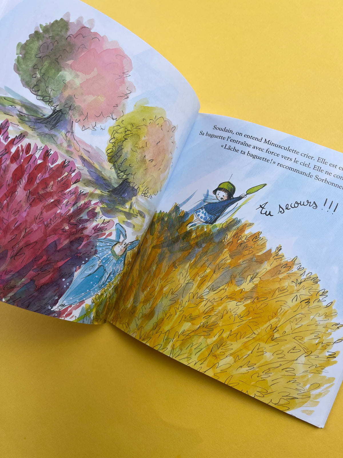Livre « Minusculette à l’école des fées »