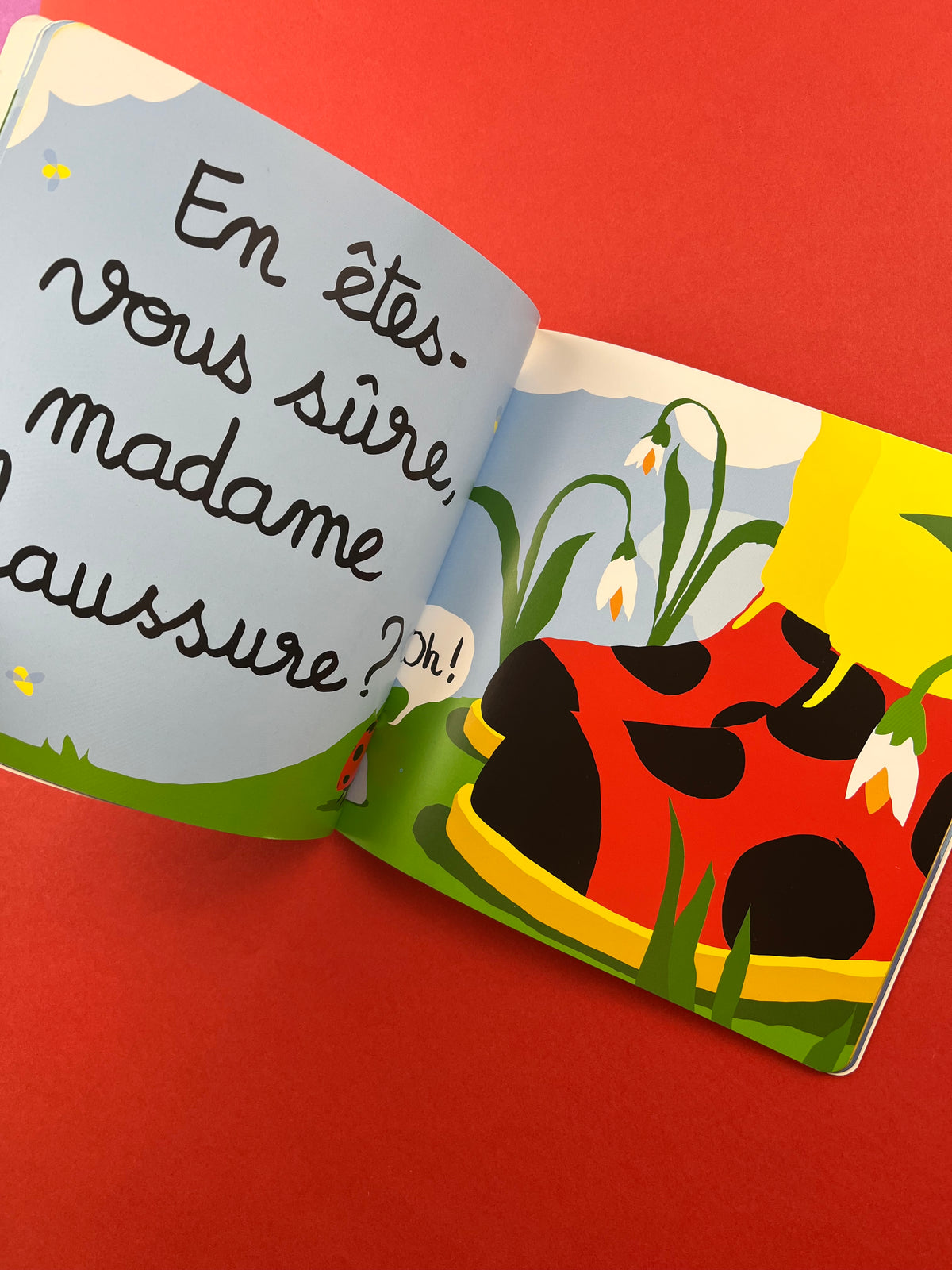 Livre « Vous êtes fou, Monsieur le loup! »