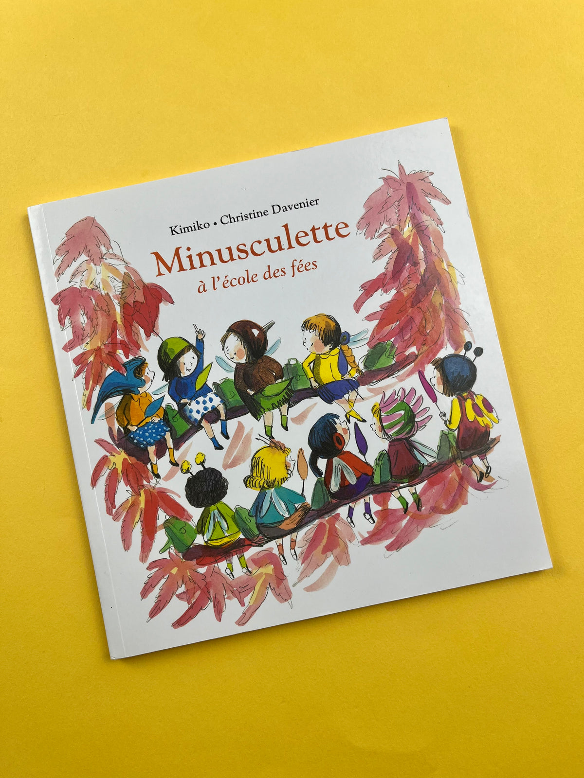 Livre « Minusculette à l’école des fées »