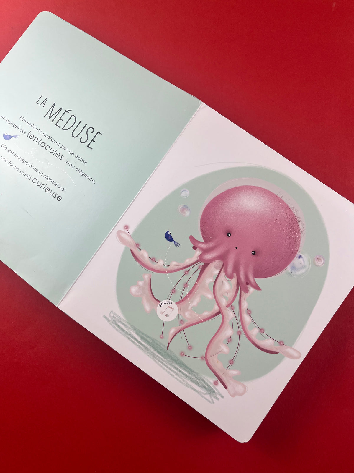 Livre sonore « Les petits habitants de la mer »