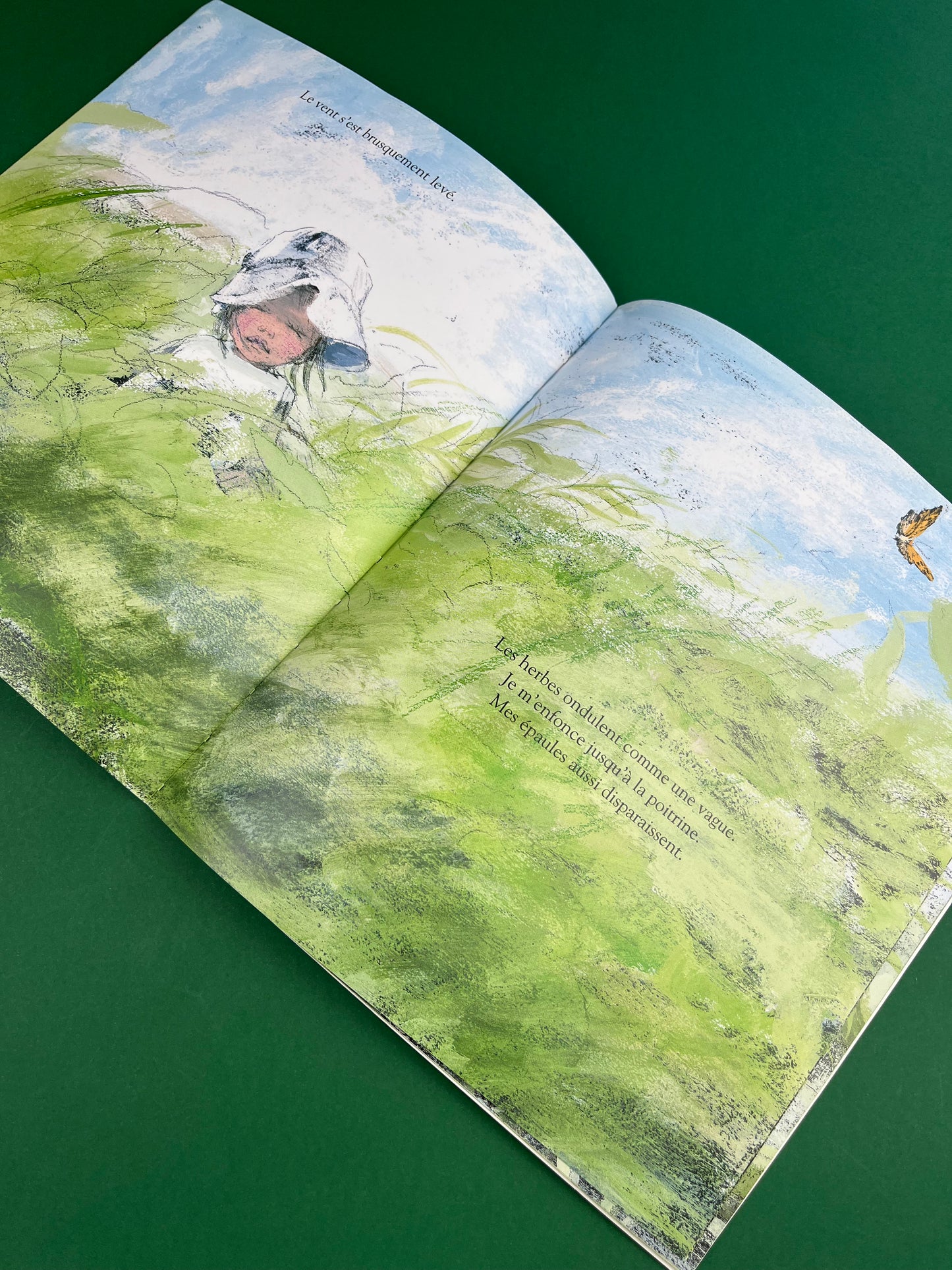 Livre « Dans l’herbe »