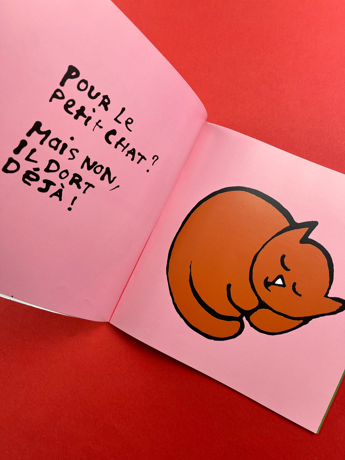 Livre « Pour qui ce petit bisou? »