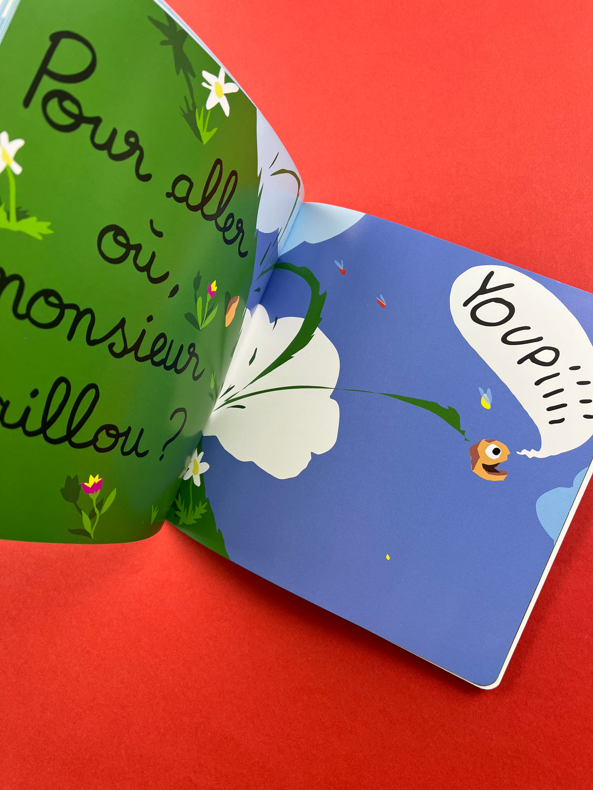 Livre « Vous êtes fou, Monsieur le loup! »