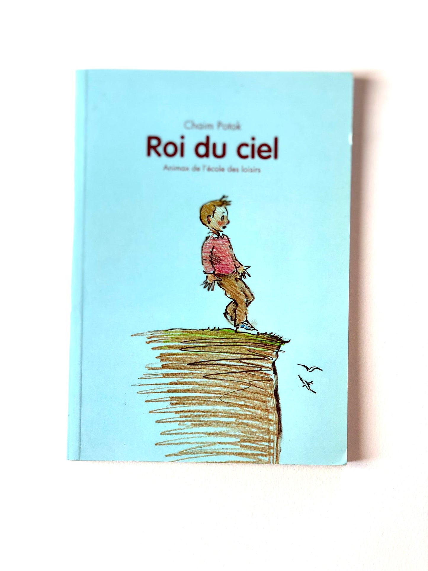 Livre « Roi du Ciel » École des Loisirs