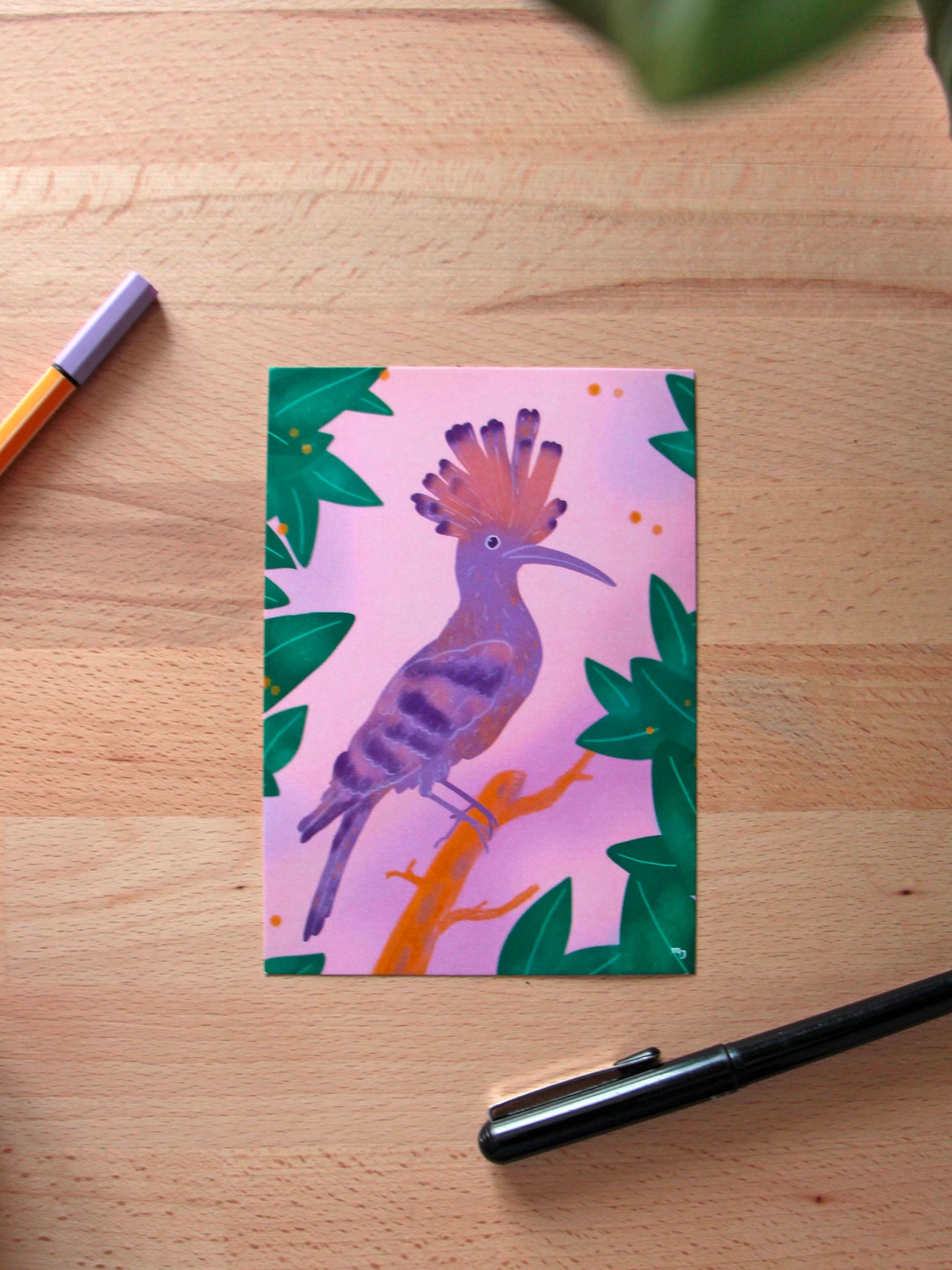 Illustration « Huppe Fasciée » - « Oiseaux des jardins »