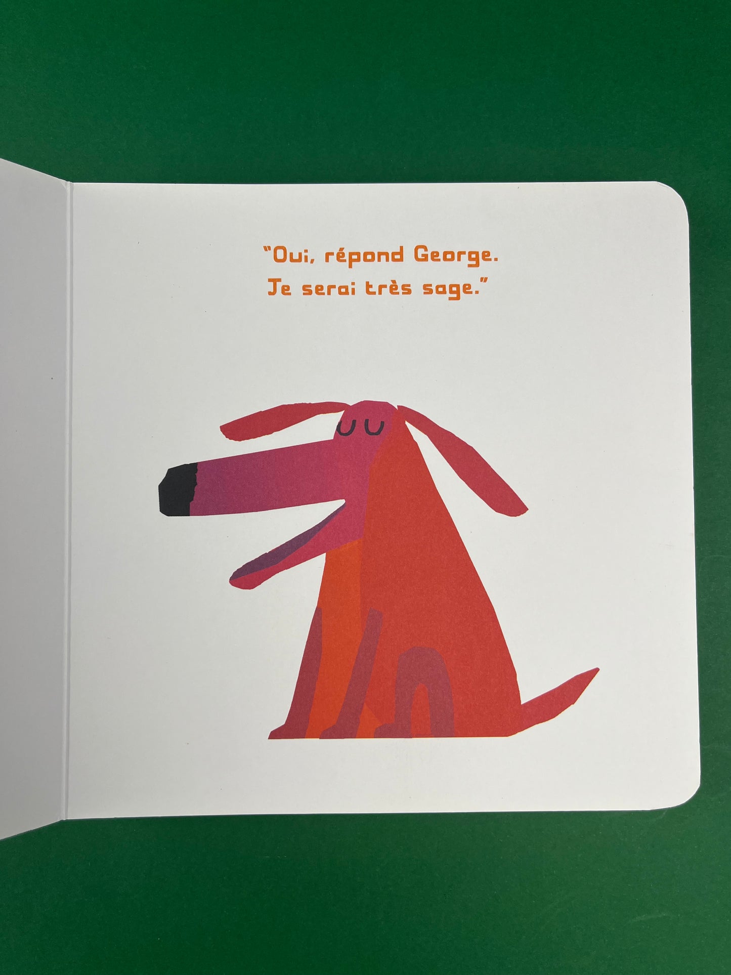 Livre « Oh non, George! »