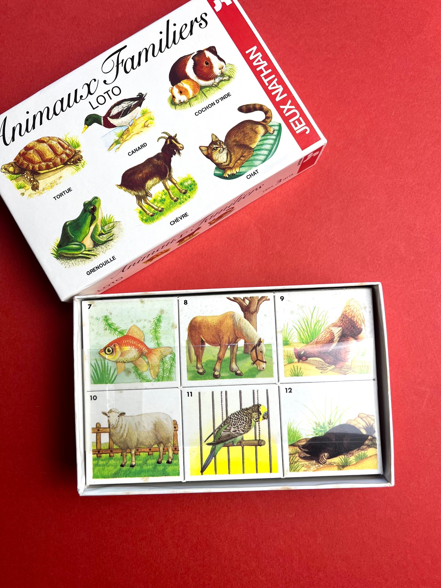 Loto « animaux familiers » Nathan