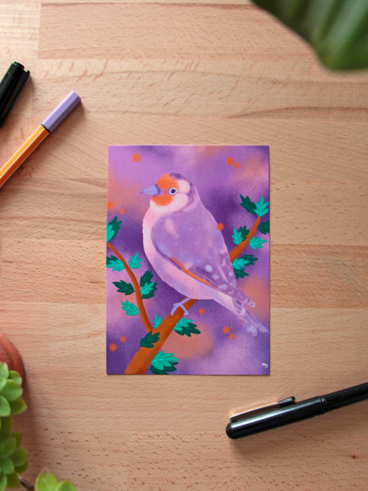 Illustration « Chardonneret » - «Oiseaux des jardins »