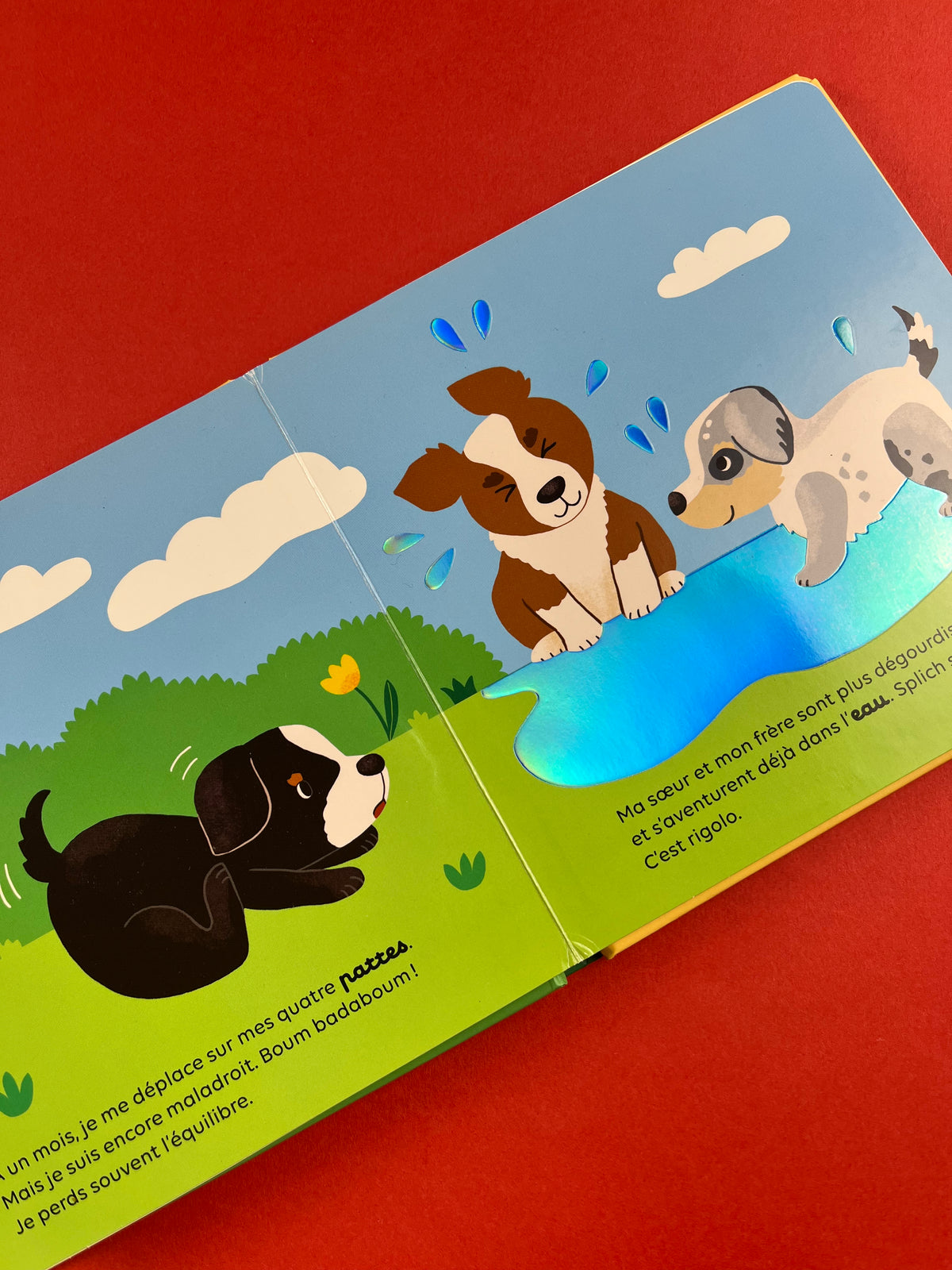 Livre « Le chien »