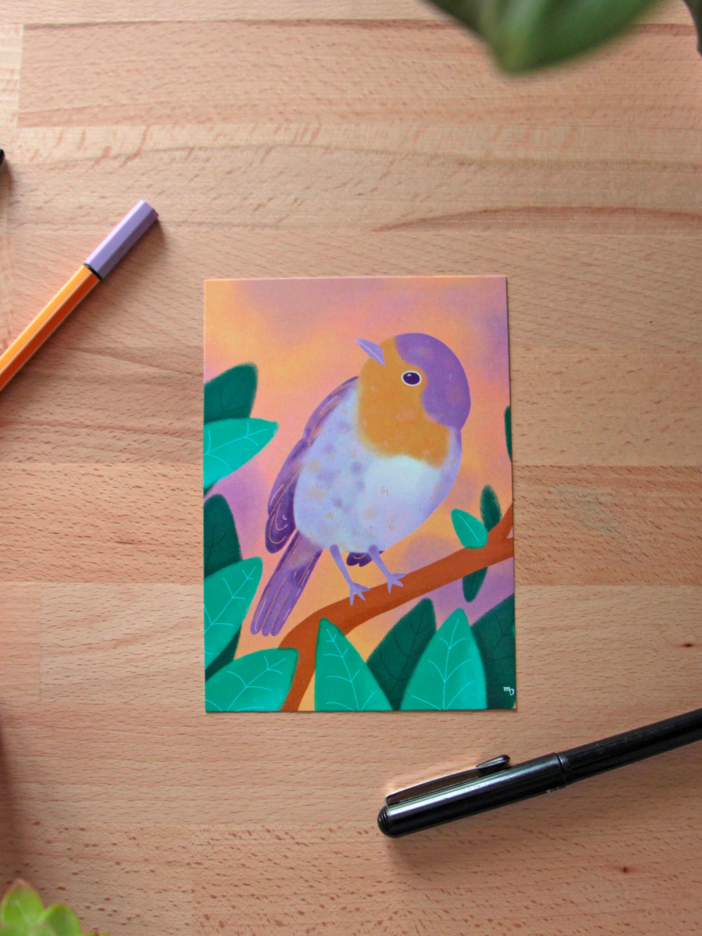 Illustration « Rouge Gorge » - « Oiseaux des jardins »